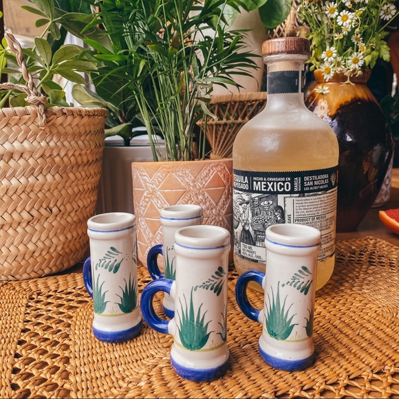 Vintage Ceramic Clay Mini Agave Tequila Shot Cups